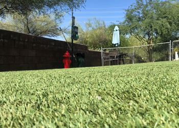 Dog park